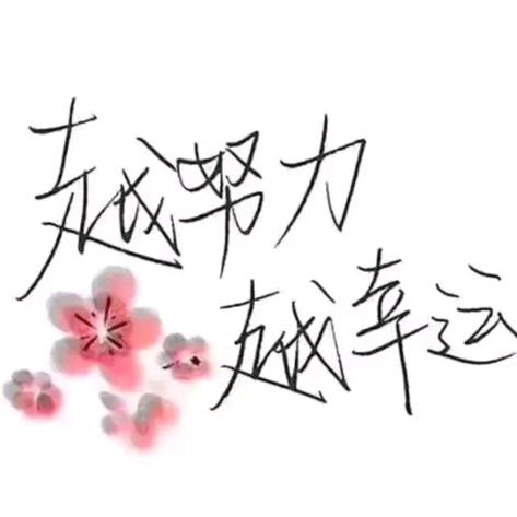 清雨百荷