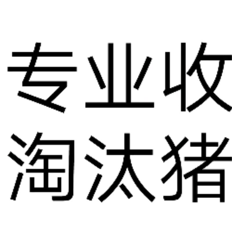 一生有你陪伴0856