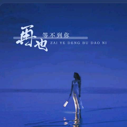 凭澜听风