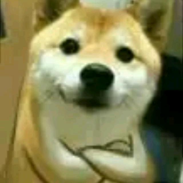 老婆明年十七岁