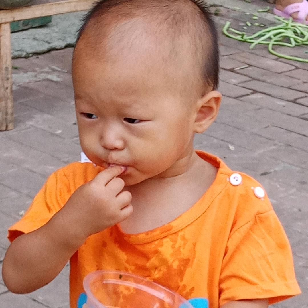 嘉赵轩123456789