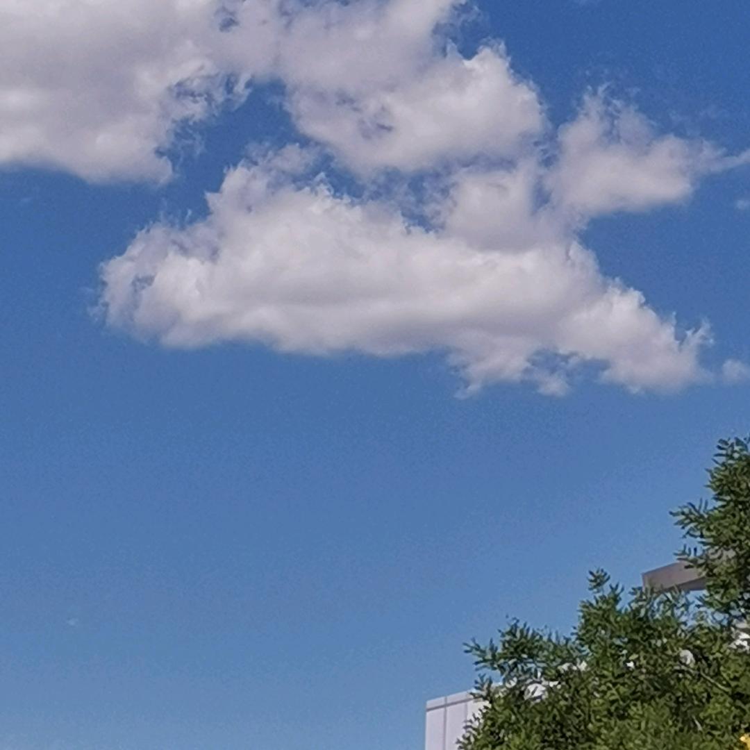 海阔天空0530