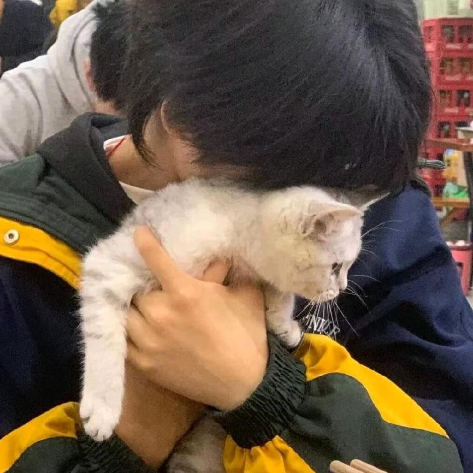 肸乯.