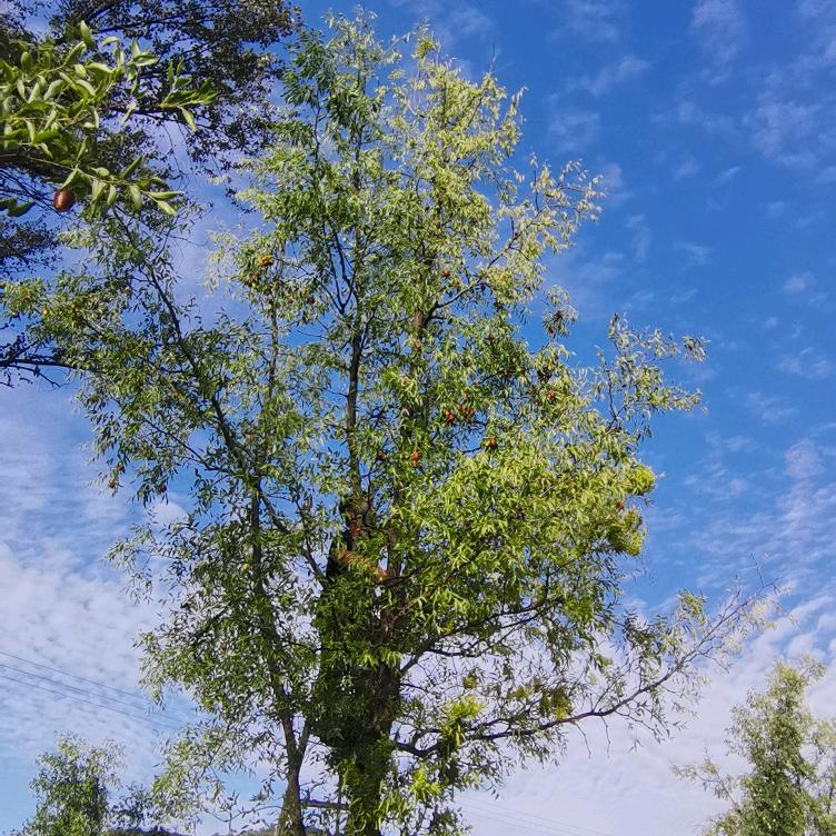 🌻          斌