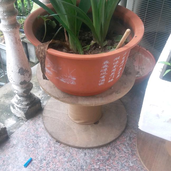 国富民强