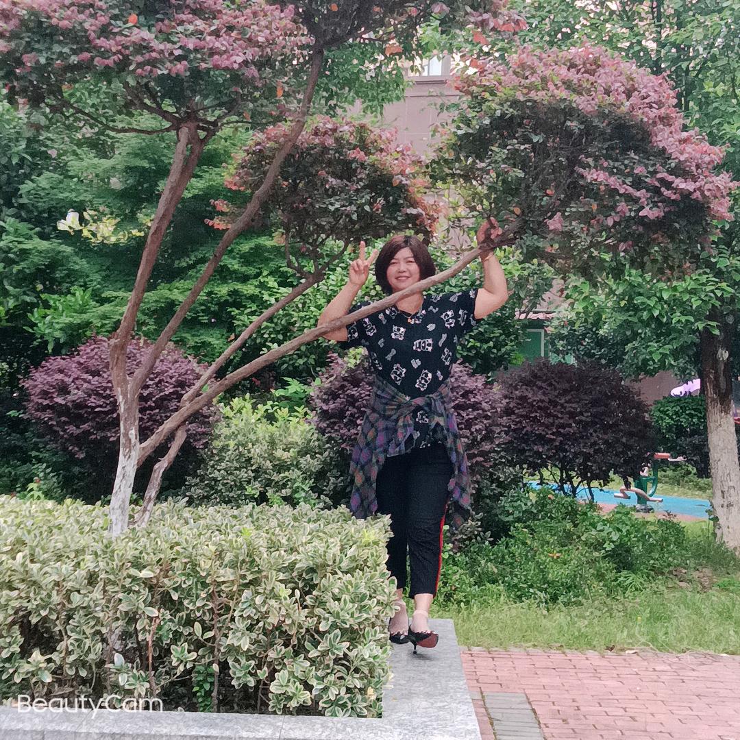 桂红
