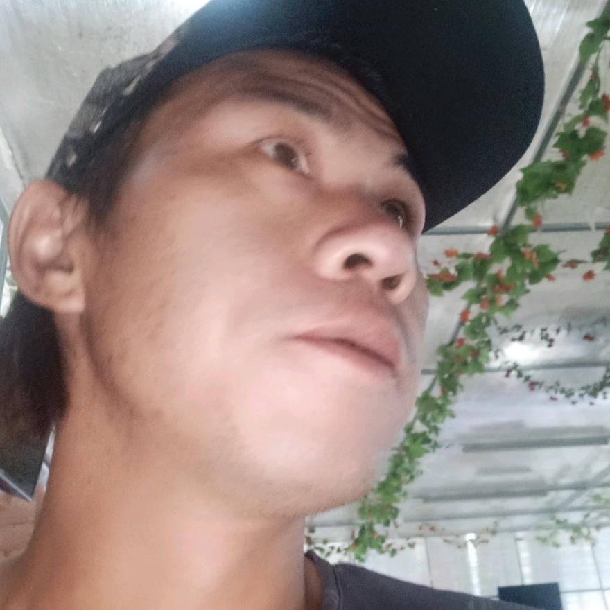 亲爱的你好