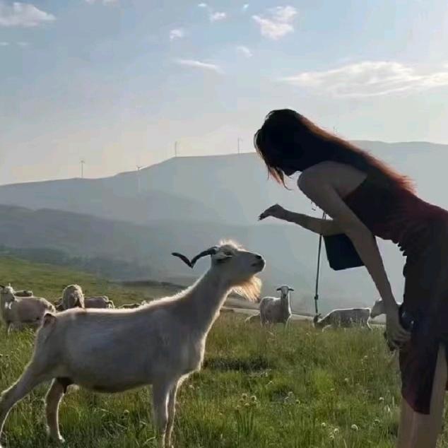 如沐清风《》