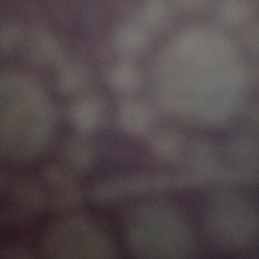 巴巴博一