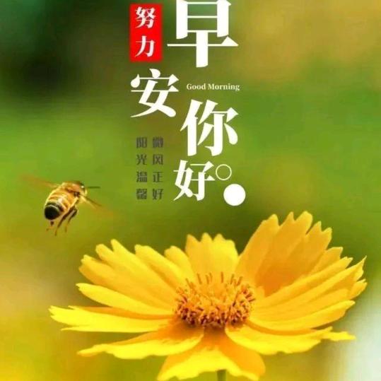 杨杨家