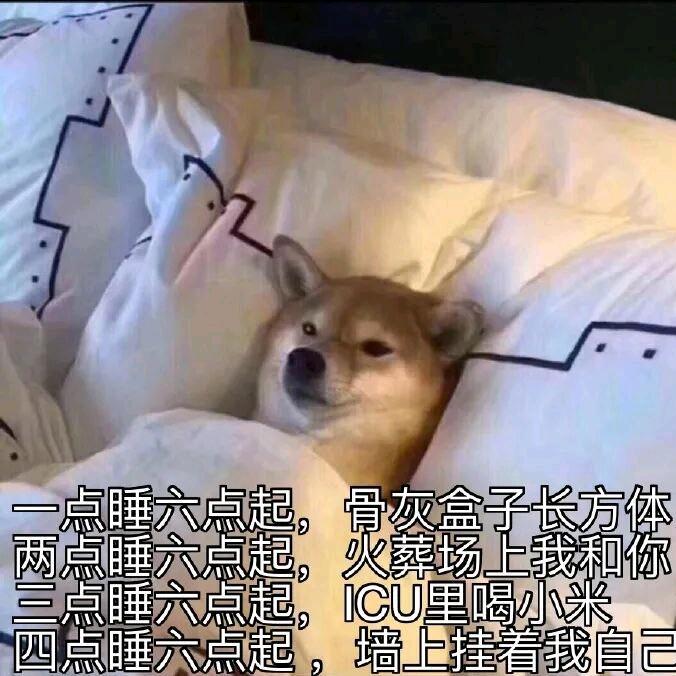 不哭♛不闹～不机密