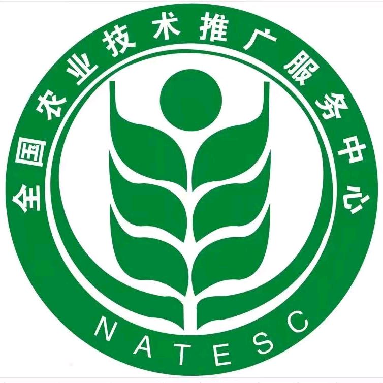 药博士金银花