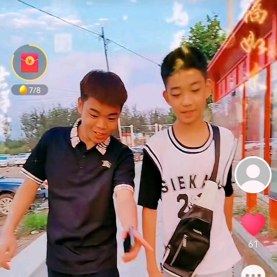 橄榄树