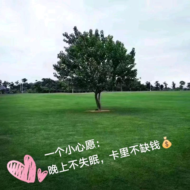 ～不合群