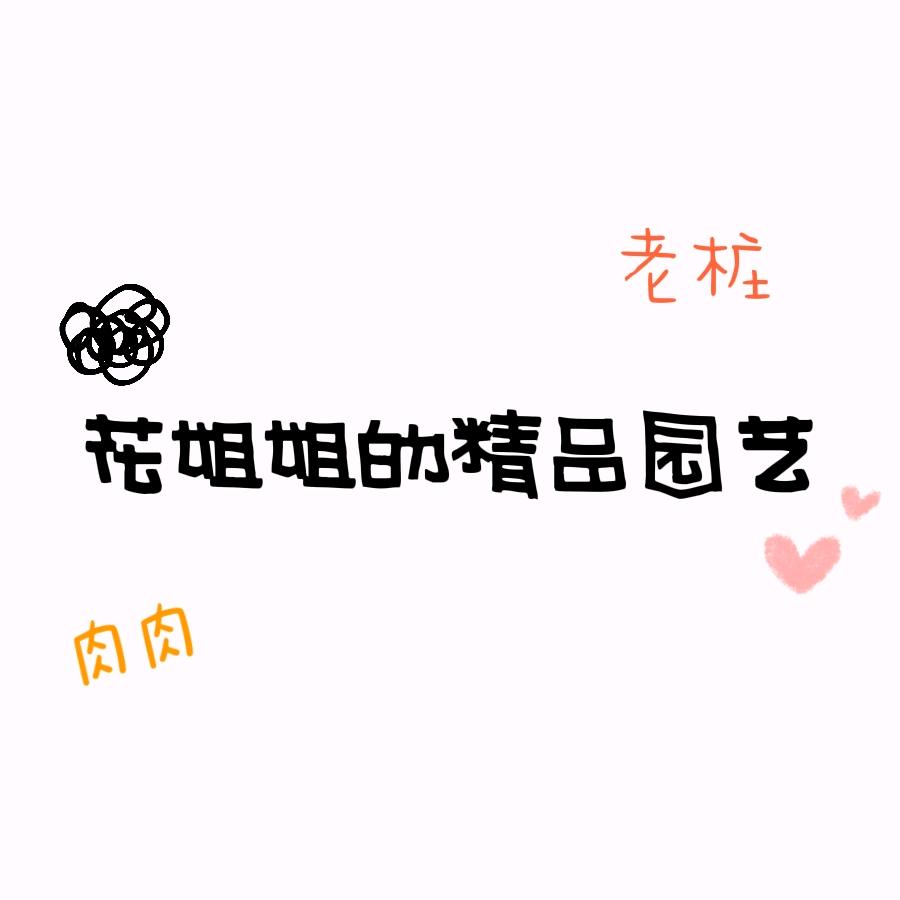 花姐姐精品园艺