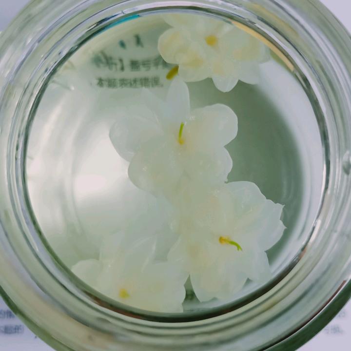 Gorgeous婷宝