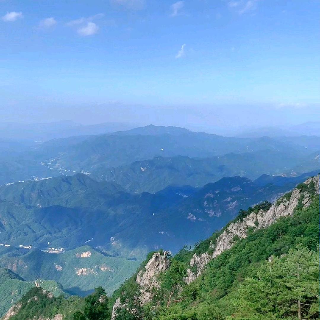 @革离🌙·