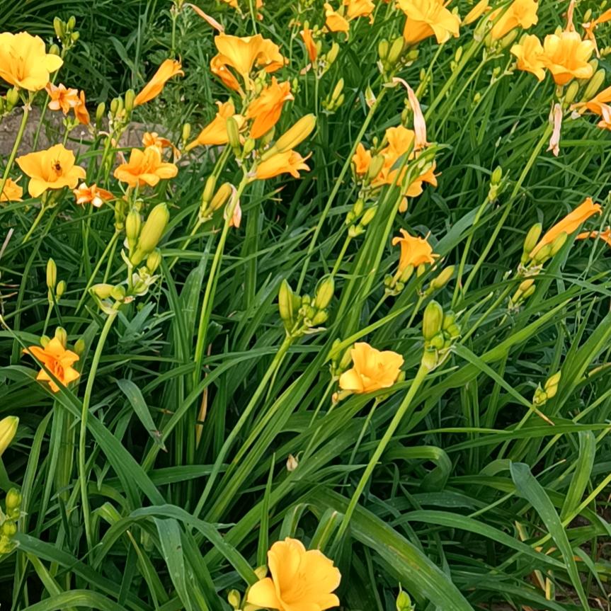 红喜汽车漆广告漆