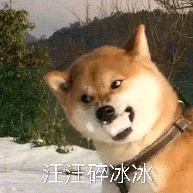 火冒三藏