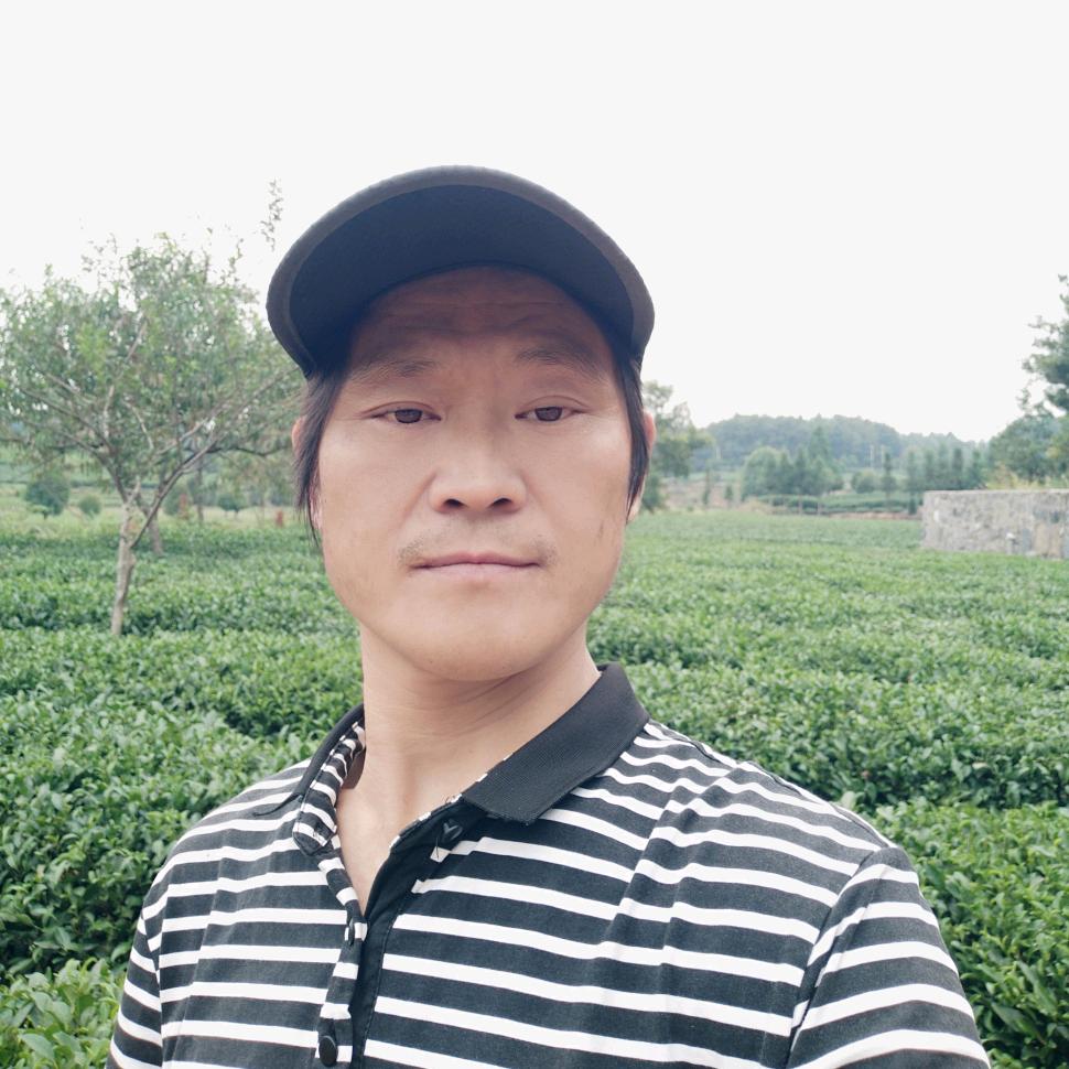 健康哥—辰颐物语