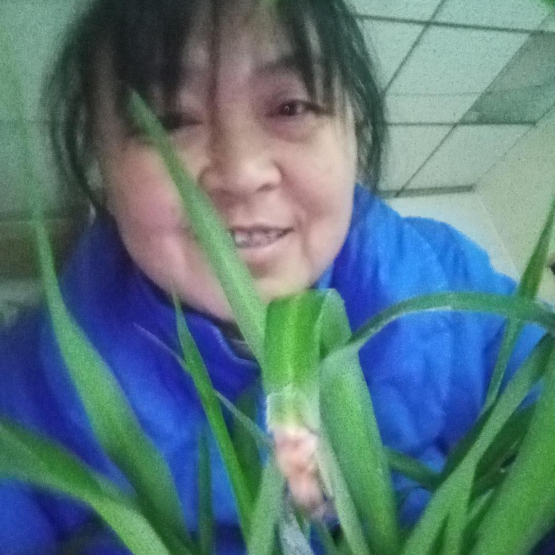 你好