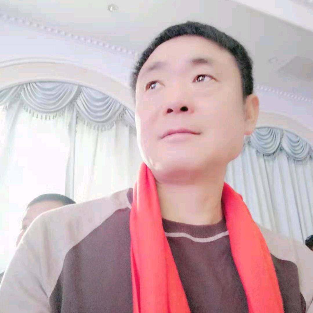 鸿雁