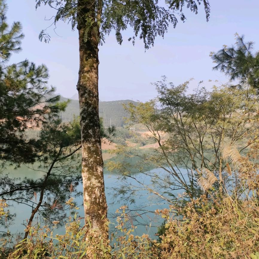 小豪