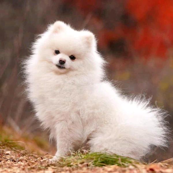 恍恍惚惚，已经隔世