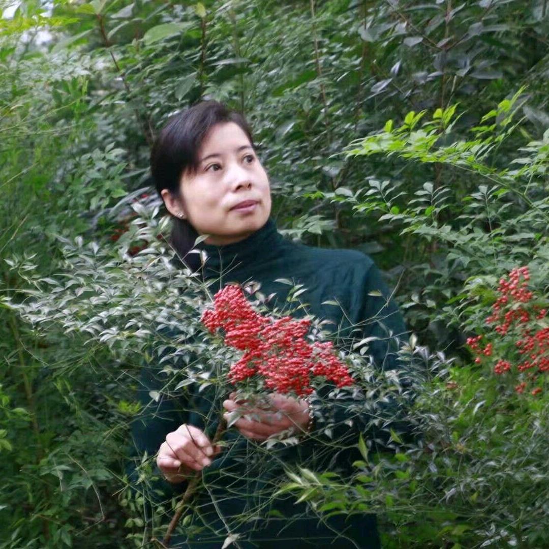 用户9502821353952