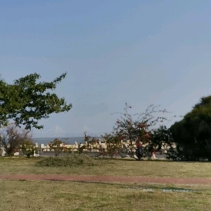 鸿启百货