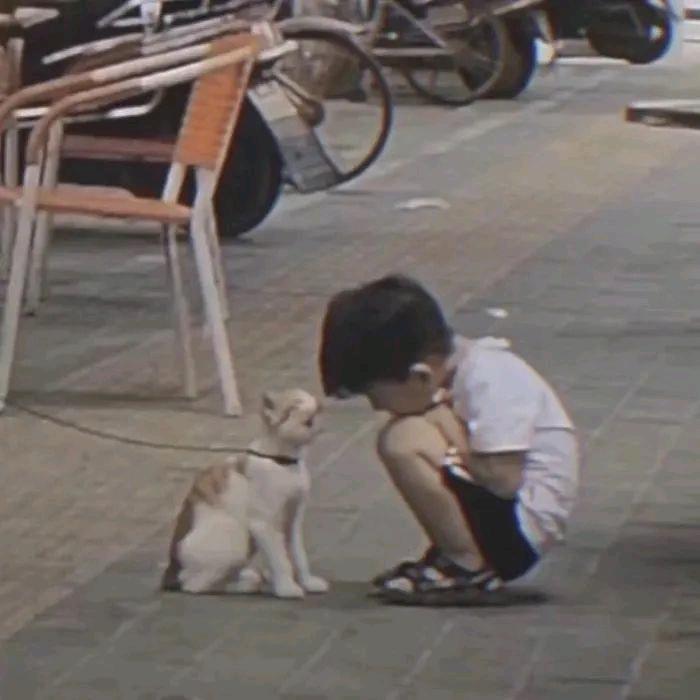 想好叫什么