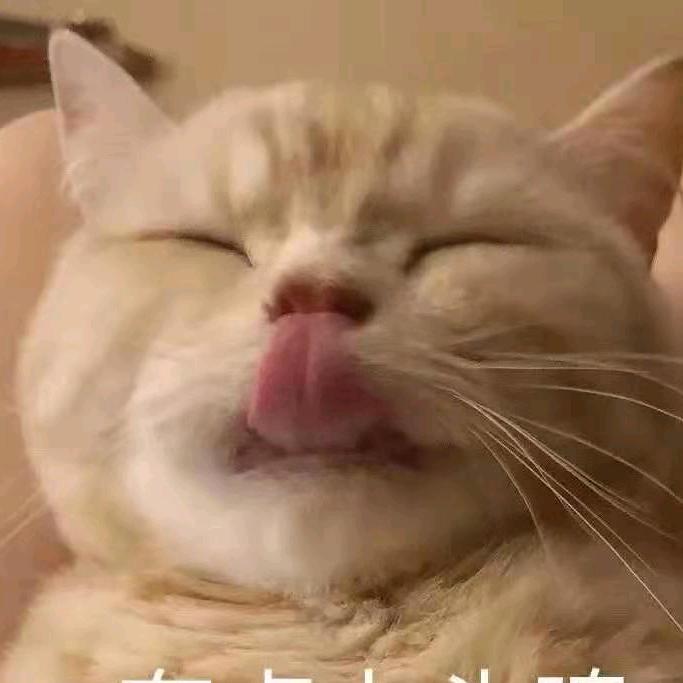 呼啦呼啦圈