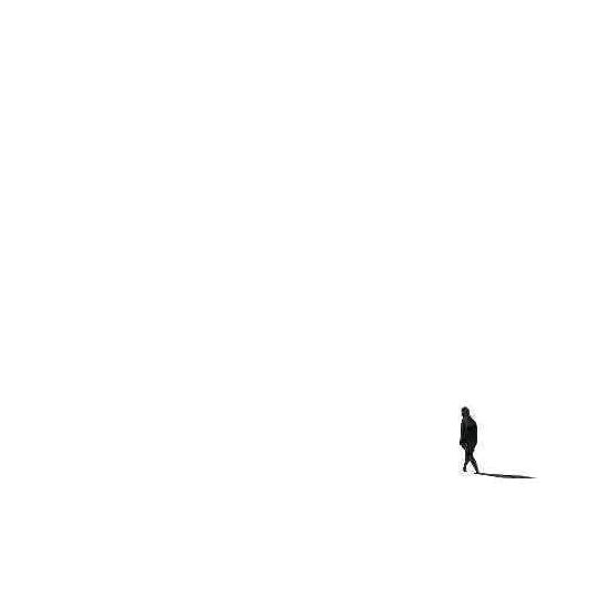 嘣咚             🪳