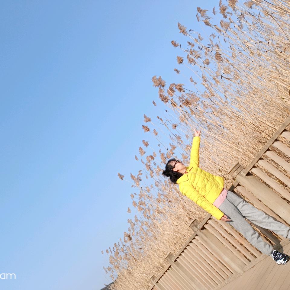 嫣然一笑