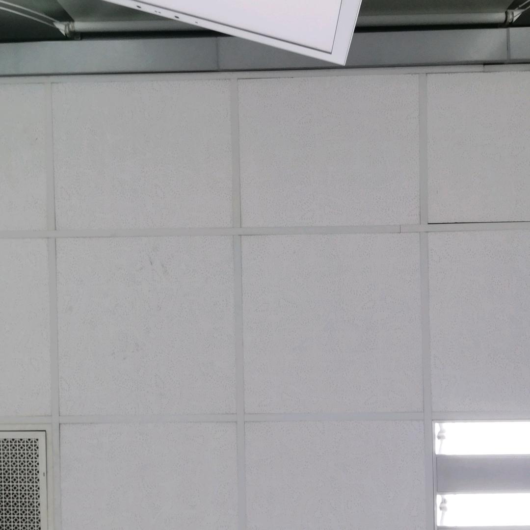 胖胖鹏