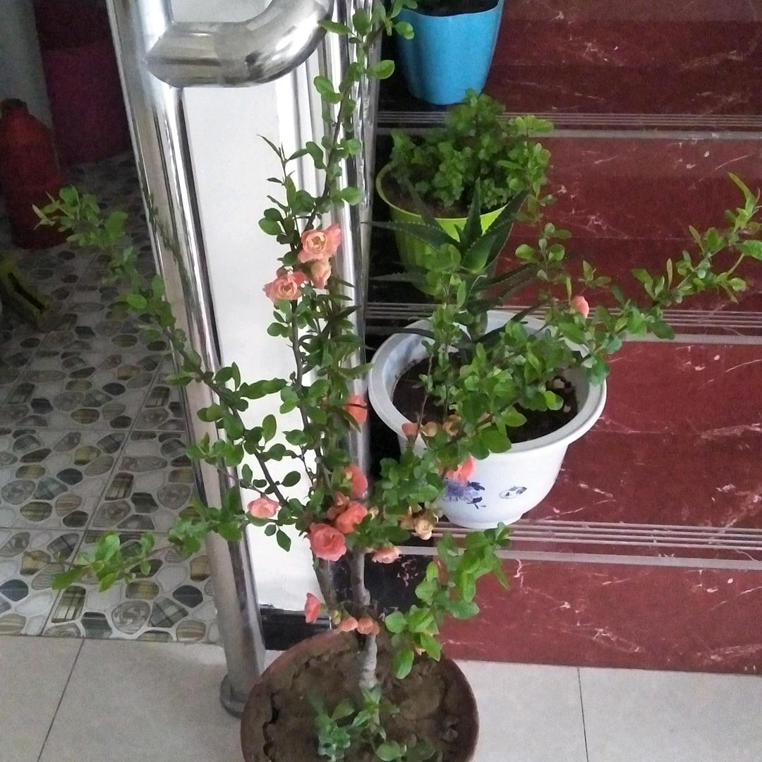 人生无意