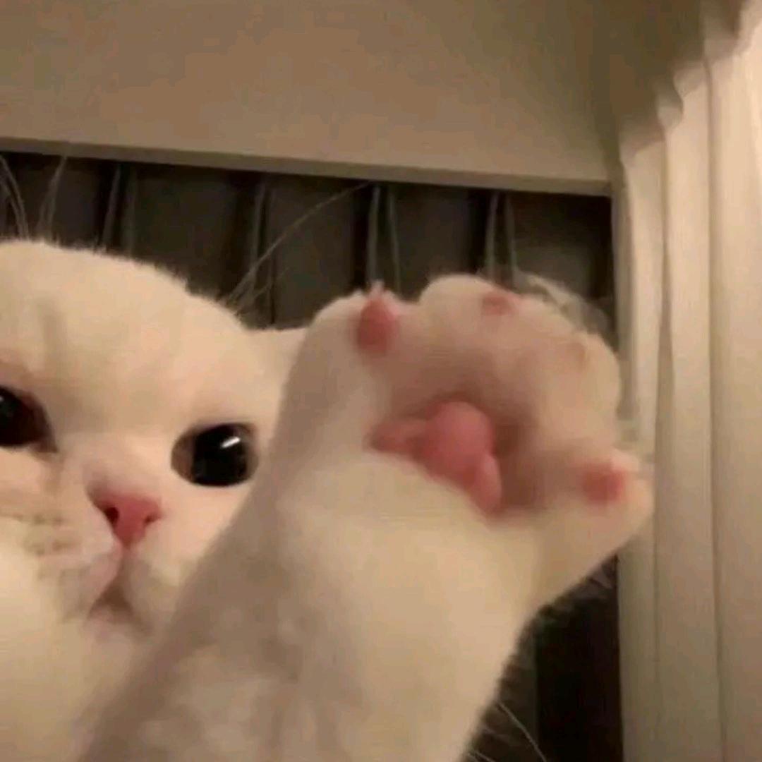 留清缘