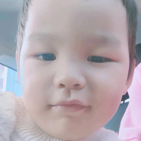 搬运工小胖