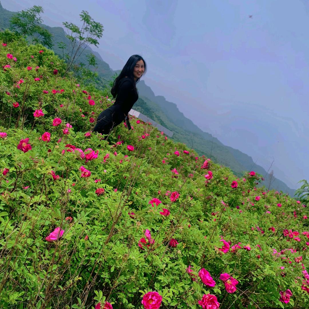 ღꪶꪊᥴ𝕜ꪗོꦿ࿐蕊