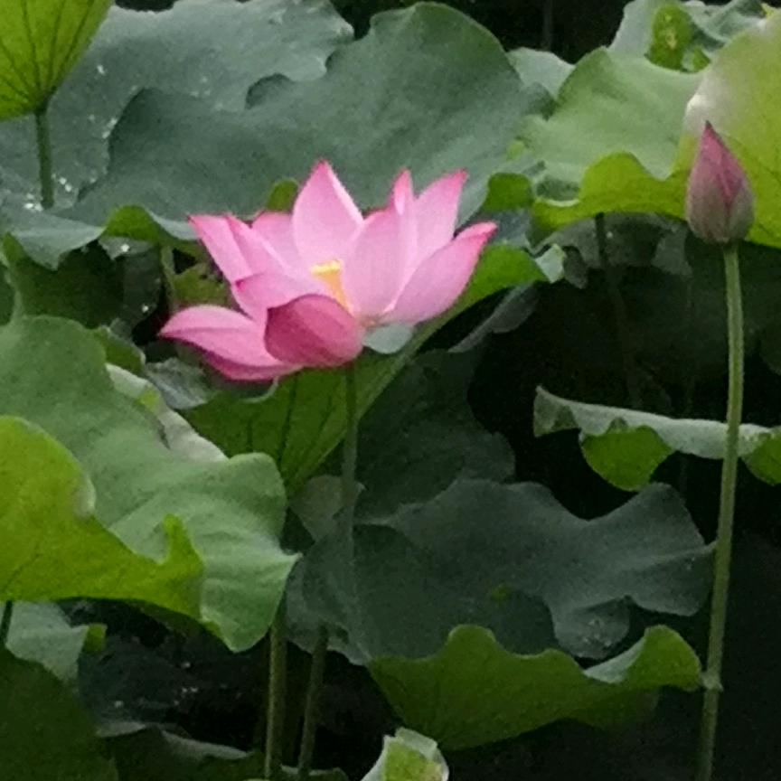 一觉醒来🌤🌤🌤