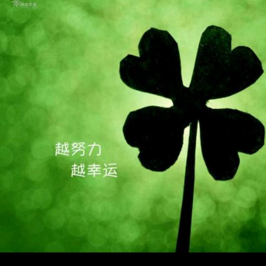 每一天都是新的开始