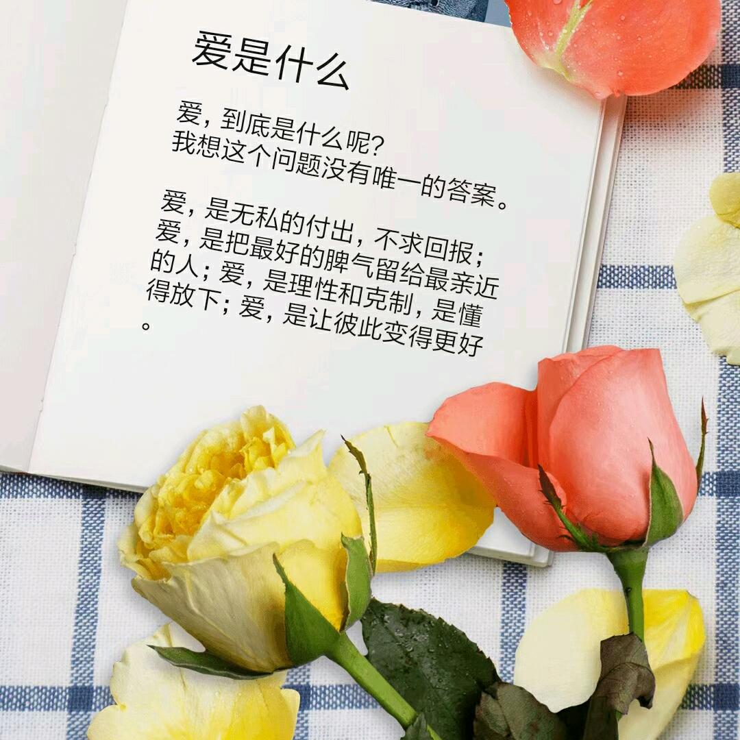 背影