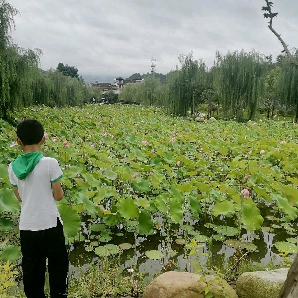 👻小轩轩