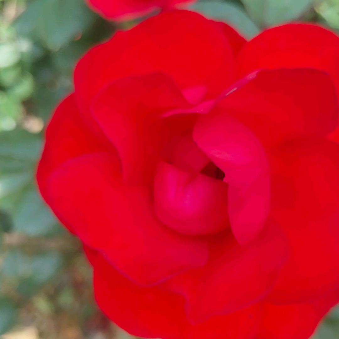 谁能读懂我的心谁能明白我的人