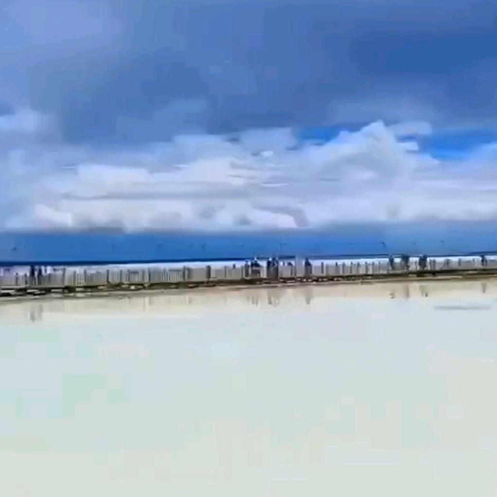 奥利奥