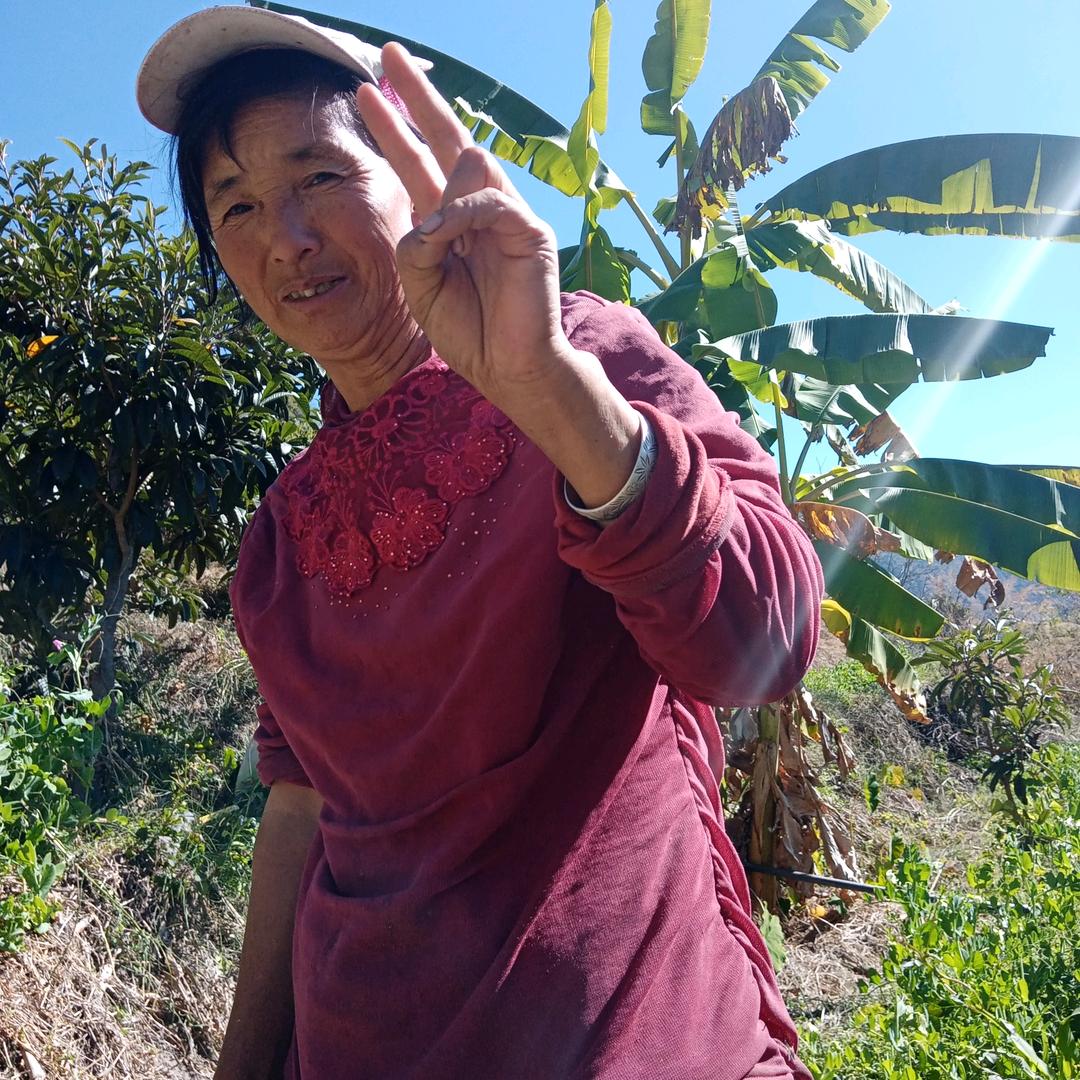 不会起名字╮（﹀＿﹀）╭