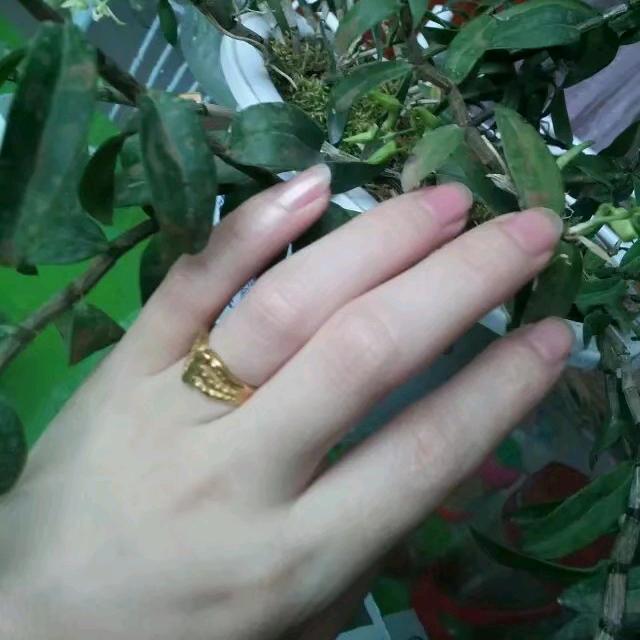 yan🍎zi