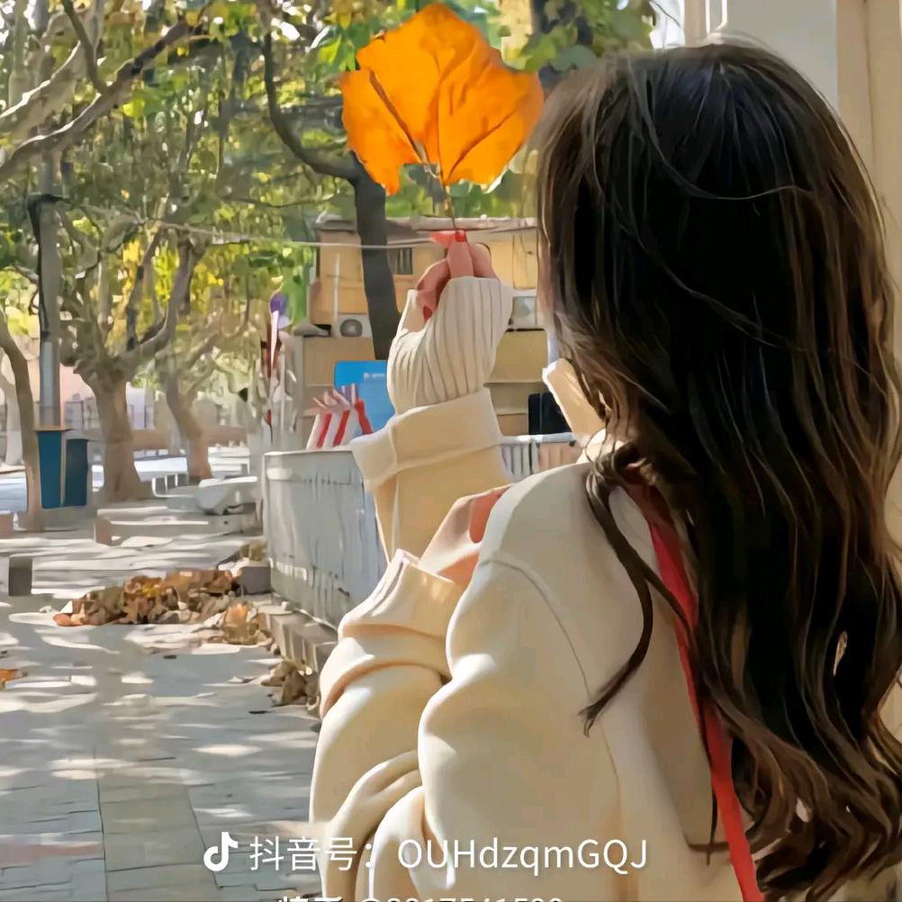 杨小杨