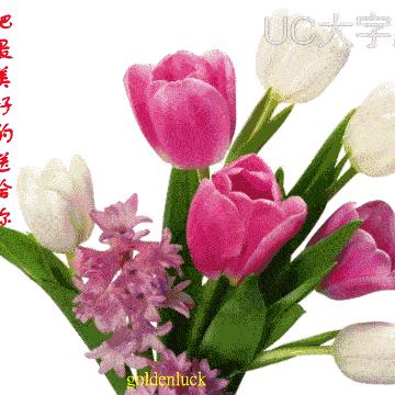 喜爱