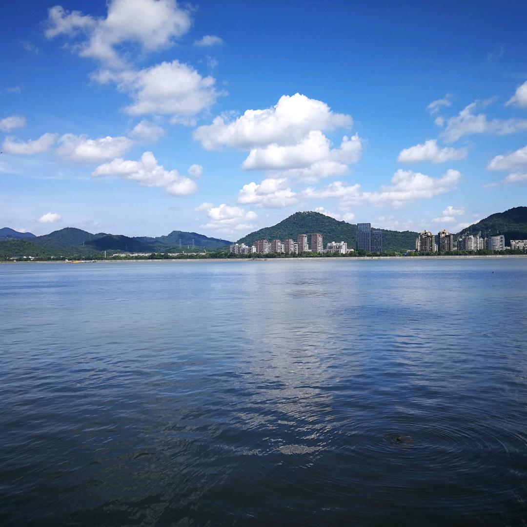 豫洛马老三官方号